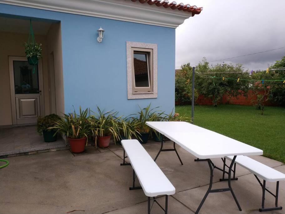 Maison Proche De La Mer Murtosa Екстер'єр фото