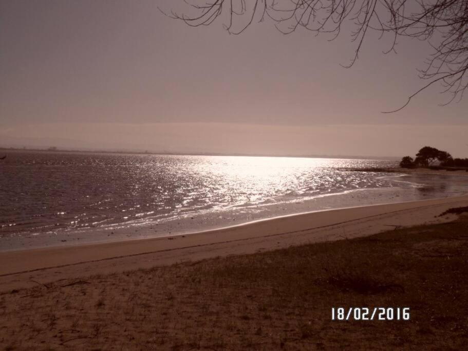 Maison Proche De La Mer Murtosa Екстер'єр фото